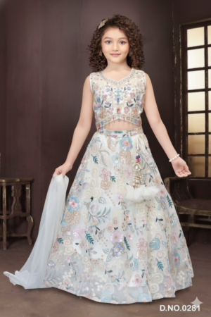 Lovezon Lehenga Choli DN0281